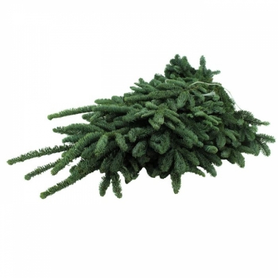 ABIES NOBILLIS 5kg