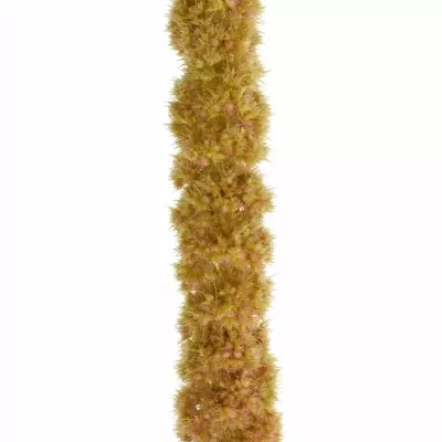 Amaranthus C CORAL FOUNTAIN 75cm