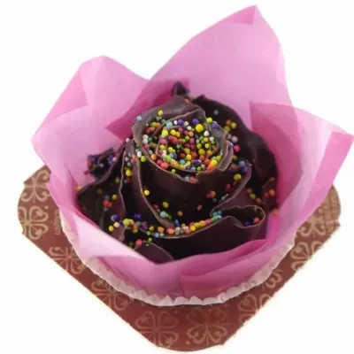 Bílá růže CUPCAKE CHOCOLATE DISCO