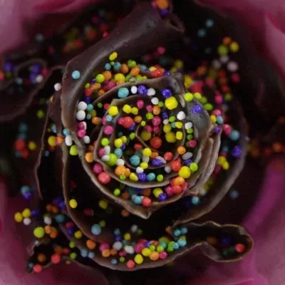 Bílá růže CUPCAKE CHOCOLATE DISCO