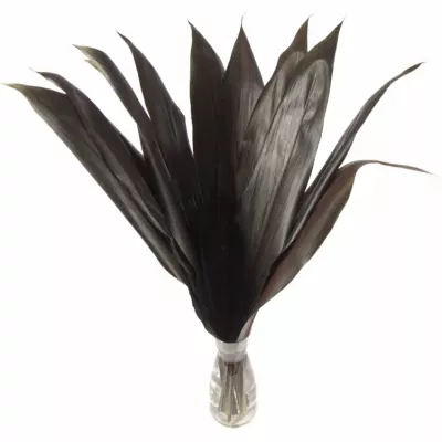 CORDYLINE BLACK TIE 60cm