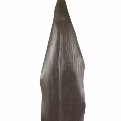 CORDYLINE BLACK TIE 60cm