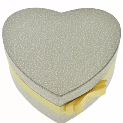 Dárková krabička Florea heart champagne mini 15x8cm 