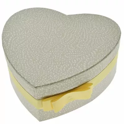 Dárková krabička Florea heart champagne mini 15x8cm 