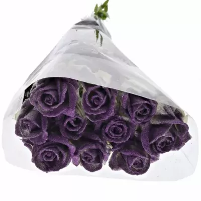 Fialová růže GLITTER  PURPLE 60cm (L)