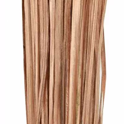 GRASS BEARGRASS 60cm COPPER