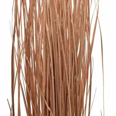 GRASS BEARGRASS COPPER 60cm 