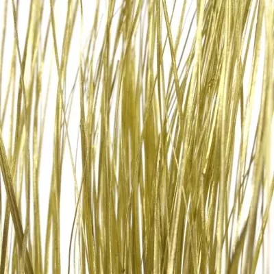 GRASS BEARGRASS GOLD