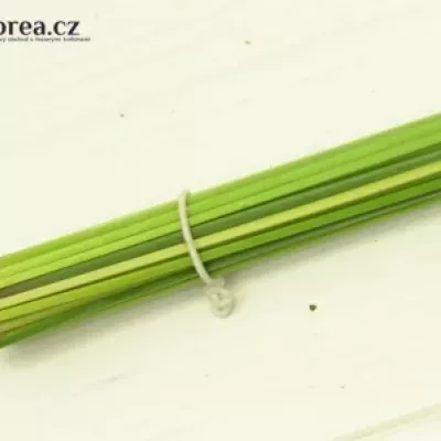 GRASS STEELGRASS 120cm