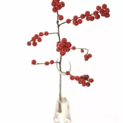 ILEX VERTICILLATA RED