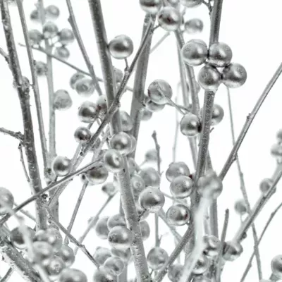 ILEX VERTICILLATA SILVER 60cm