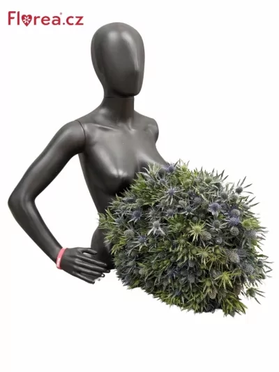 Kytice 100 eryngium