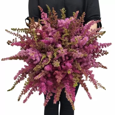 Kytice 100 sytě růžové astilbe