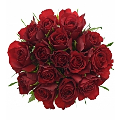 Kytice 15 červených růží MANDY