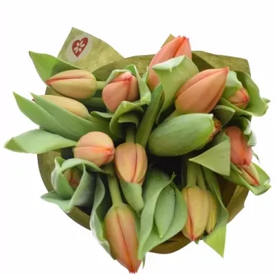 Kytice 15 tulipánů AD REM 40cm-papír