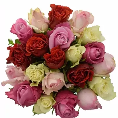 Míchaná kytice 21 vícebarevných růží DIVA 50 cm