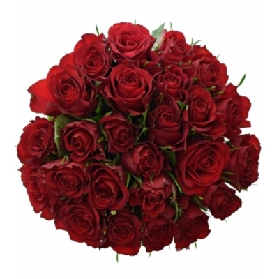 Kytice 25 červených růží MANDY