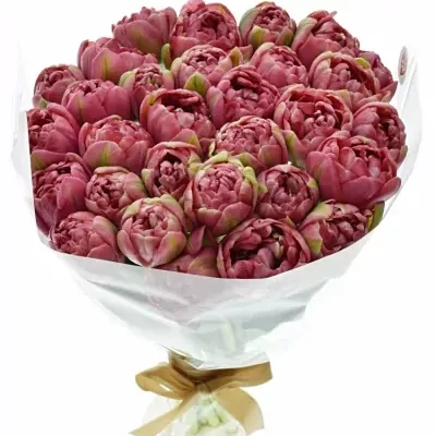 Kytice 30 růžových tulipánů WEDDING GIFT 40cm