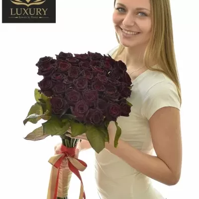 Kytice 35 luxusních růží BLACK BACCARA 70cm