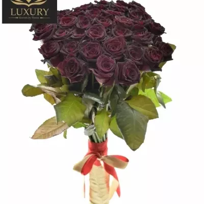 Kytice 35 luxusních růží BLACK BACCARA 70cm