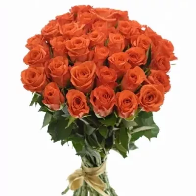 Kytice 35 oranžových růží ALMANZA