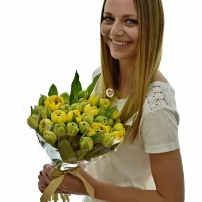 Kytice 35 žlutých tulipánů YELLOW POMPENE