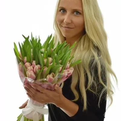 Kytice 50 růžových tulipánů LIFESTYLE 40cm