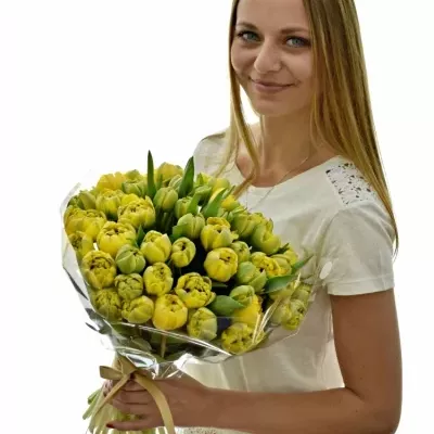 Kytice 50 žlutých tulipánů YELLOW POMPENE 38cm