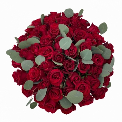 Kytice 55 růží EVER RED 60 cm   EUCALYPTUS