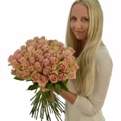 Kytice 55 růžových růží BELLE ROSE 50cm