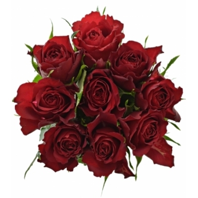 Kytice 9 červených růží MANDY