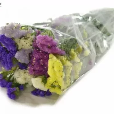 LIMONIUM S MIX 