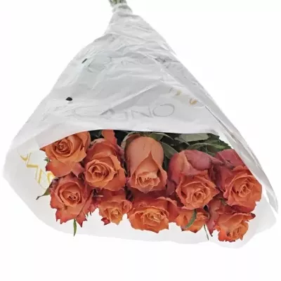 Oranžová růže JULISCHKA 50cm (XL)