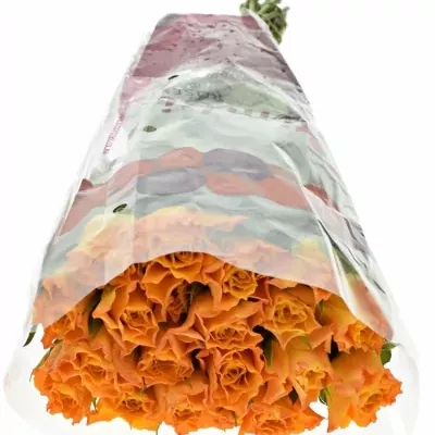 Oranžová růže MARIE-CLAIRE! 70cm (XL)