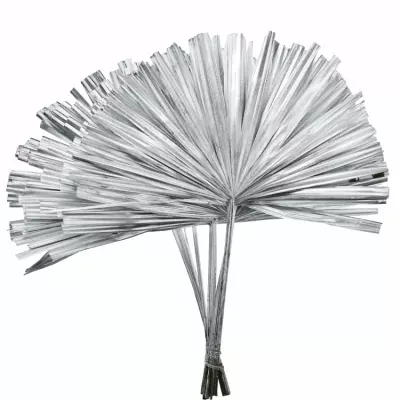 PALM RHAPIS CUTTED SILVER 50cm