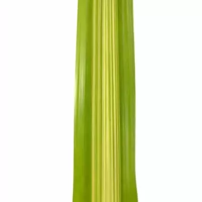 PANDANUS LEAF GREEN