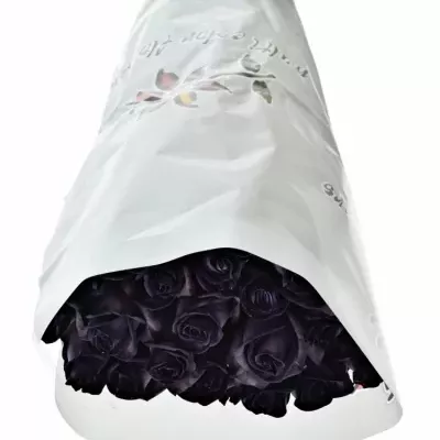 ROSA BLACK VENDELA 60cm - ČERNÁ RŮŽE (M)