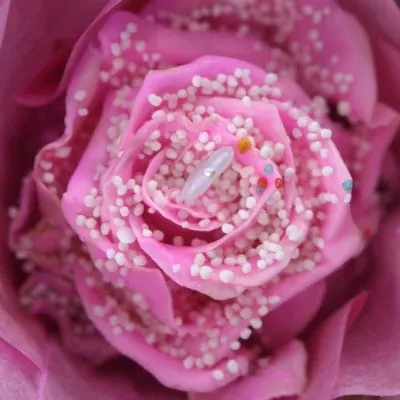 ROSA CUPCAKE CHOCOLAT PEARL PINK LOVE