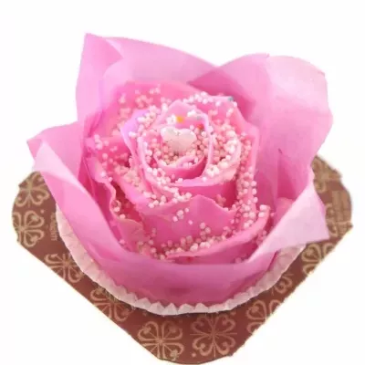 ROSA CUPCAKE CHOCOLAT PEARL PINK LOVE