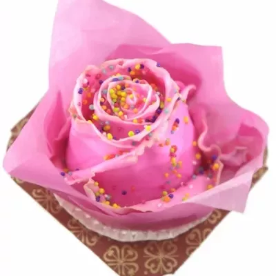 ROSA CUPCAKE CHOCOLATE DISCO PINK