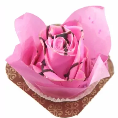 ROSA CUPCAKE CHOCOLATE STRIP PINK