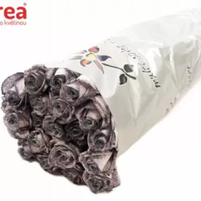 ROSA ICE BLACK VENDELA