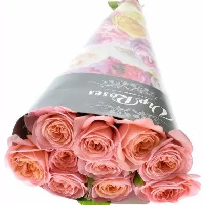 ROSA LONDON EYE 50cm (XL)