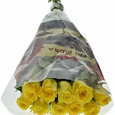 ROSA SEFER 50cm (S)