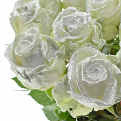 ROSA WAX BLING SILVER 70cm (XL)