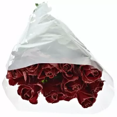 ROSA WAX RED GLITTERS 50cm (L)