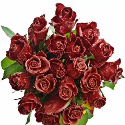 ROSA WAX RED GLITTERS 50cm (L)