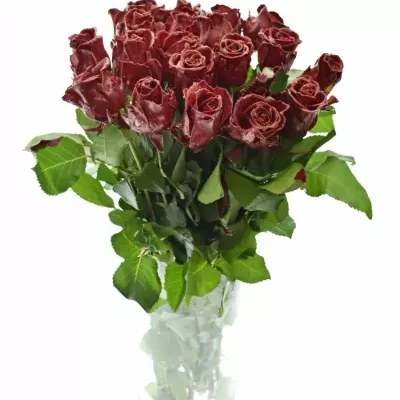 ROSA WAX RED GLITTERS 50cm (L)