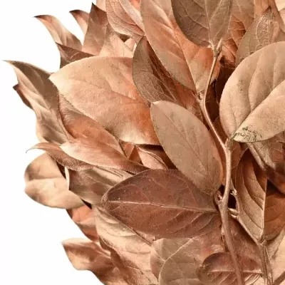 SALAL TIP COPPER 45cm