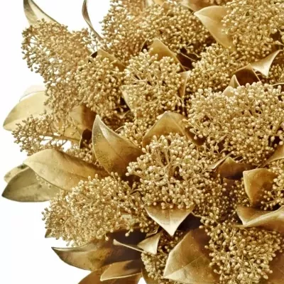 SKIMMIA ANTIQUE GOLD 40cm